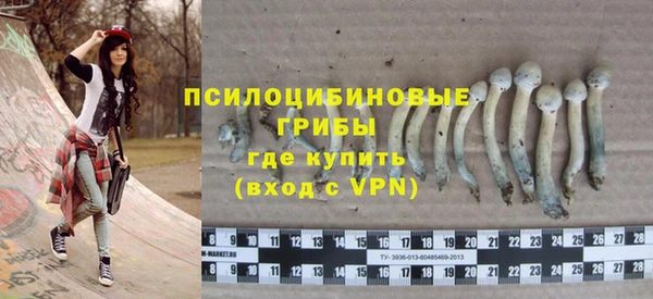 винт Арсеньев