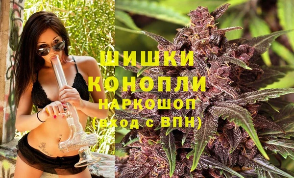 гидропоника Аркадак